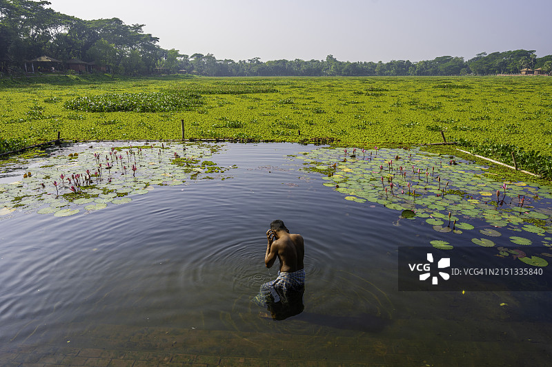 孟加拉国巴盖尔哈特睡莲池塘的清晨景象图片素材