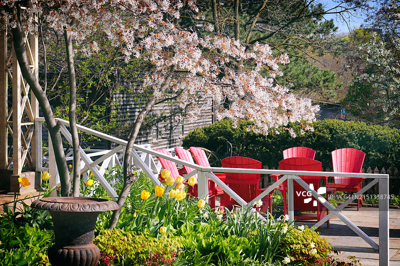 多伦多Riverdale农场盛开的春天图片素材