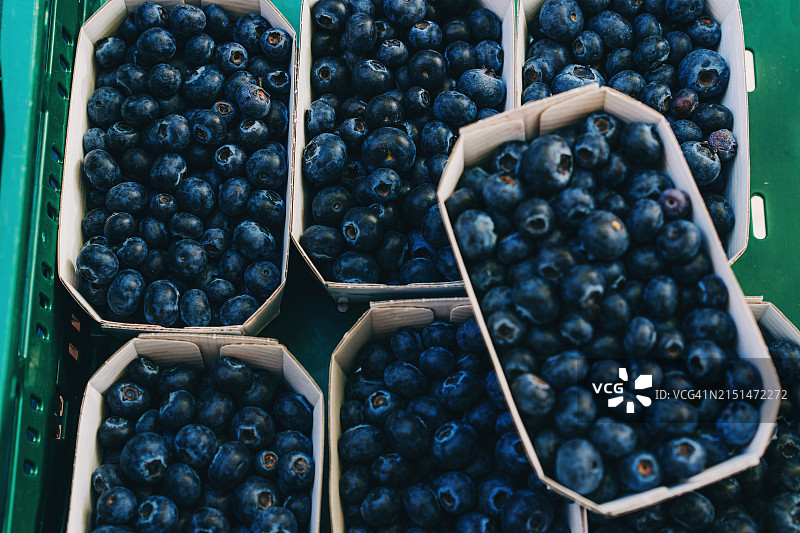 农贸市场上的新鲜蓝莓，多个盒子装满浆果图片素材