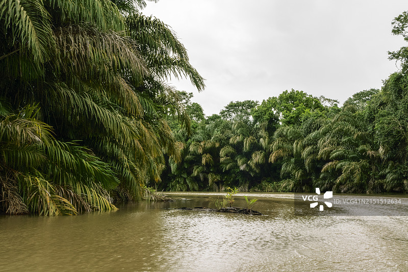 托尔图格罗运河图片素材