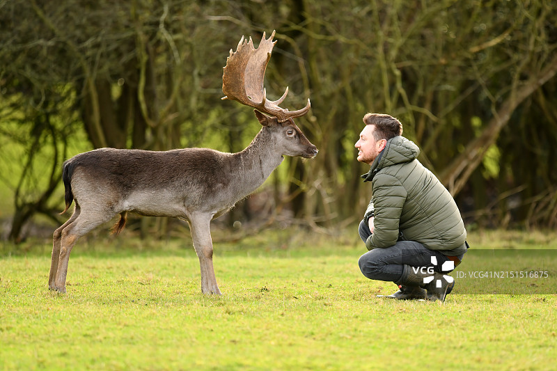 带人的黇鹿图片素材