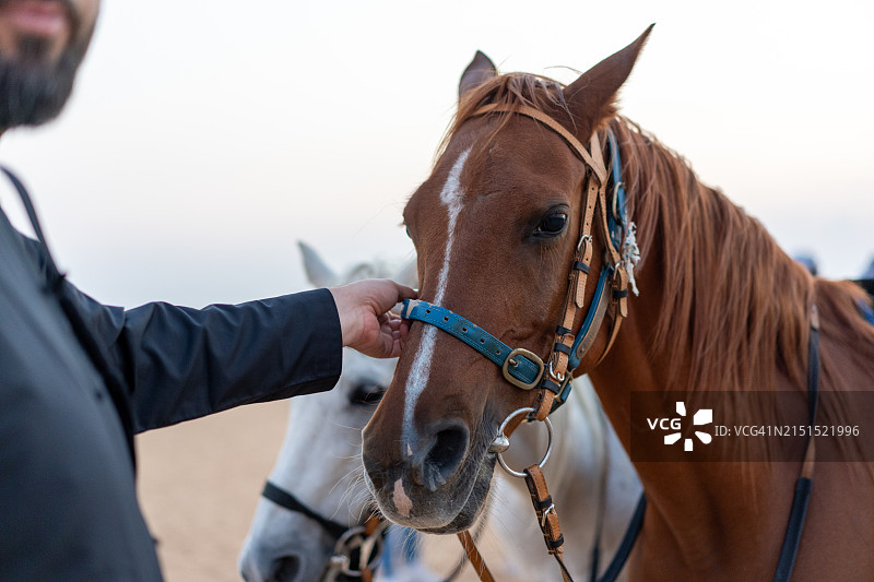 穿着传统服饰的阿拉伯男人在迪拜沙漠中抚摸他的马图片素材