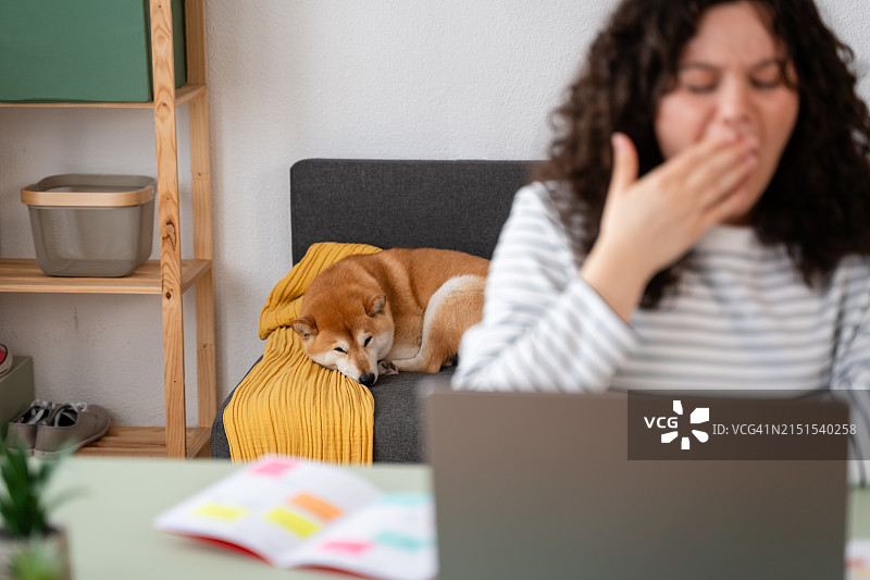 在家与宠物狗一起工作的疲惫女人图片素材