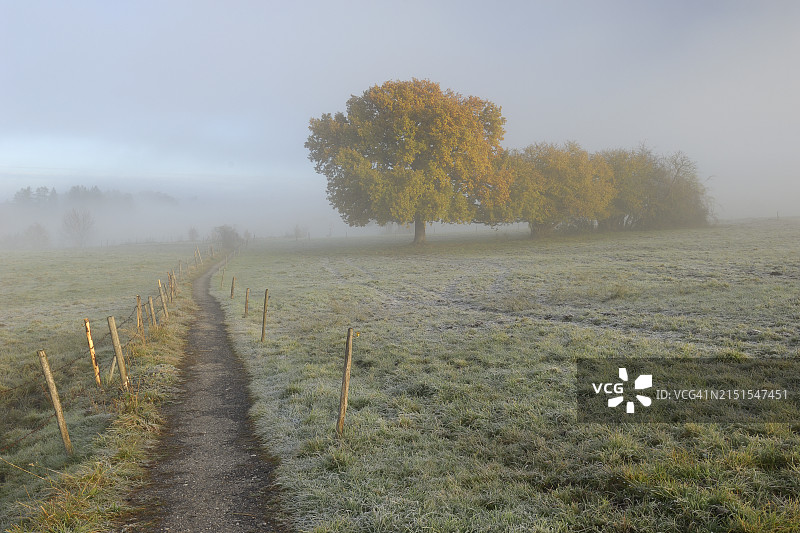 秋季景观中的路径，施塔费尔湖，德国巴伐利亚图片素材