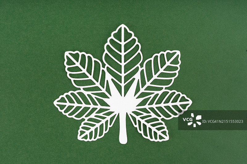 绿色纸板背景上的白色树叶剪纸图片素材