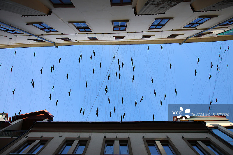 蓝天下建筑物之间悬挂的装饰鸟图片素材