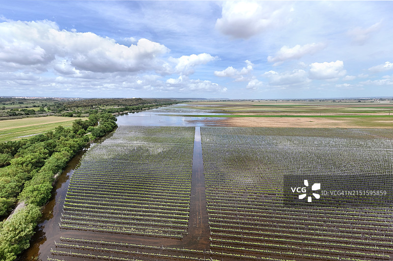 美丽的特茹湿地鸟瞰图片素材