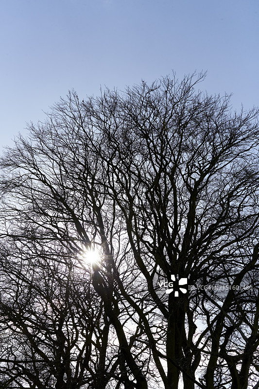 威尔特郡早春景色图片素材