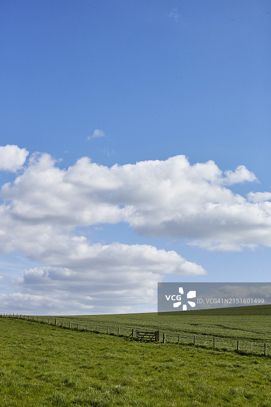 威尔特郡早春景色图片素材