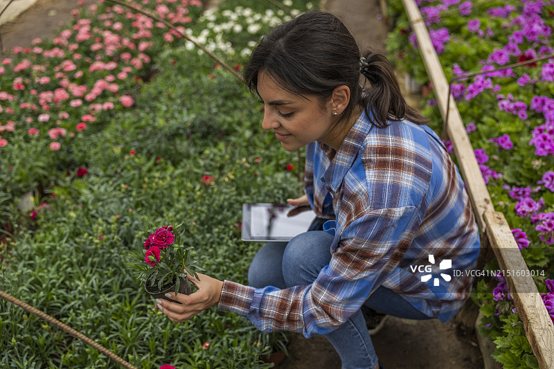 年轻女园丁在花园中心观察植物生长并使用平板电脑工作图片素材