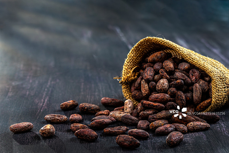 可可树上的可可豆图片素材