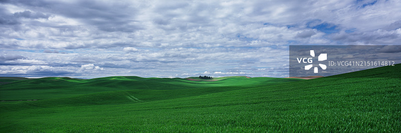 华盛顿州帕卢斯连绵起伏的绿色山丘图片素材