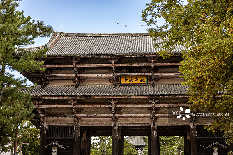 阳光明媚的东大寺图片素材