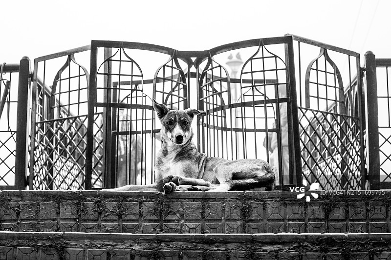 乌代浦尔旅行摄影图片素材