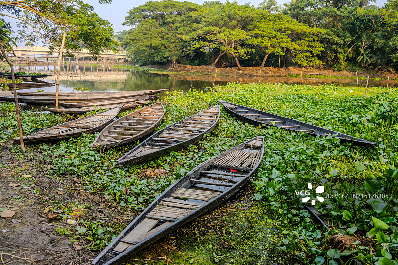 孟加拉国库尔纳水葫芦丛生的河边停泊的木船图片素材