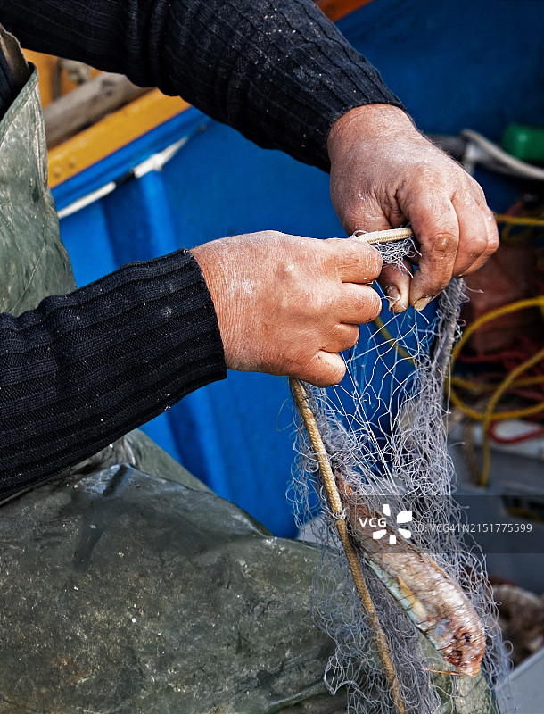 马耳他Marsaxlokk渔民从渔网中取鱼的特写图片素材