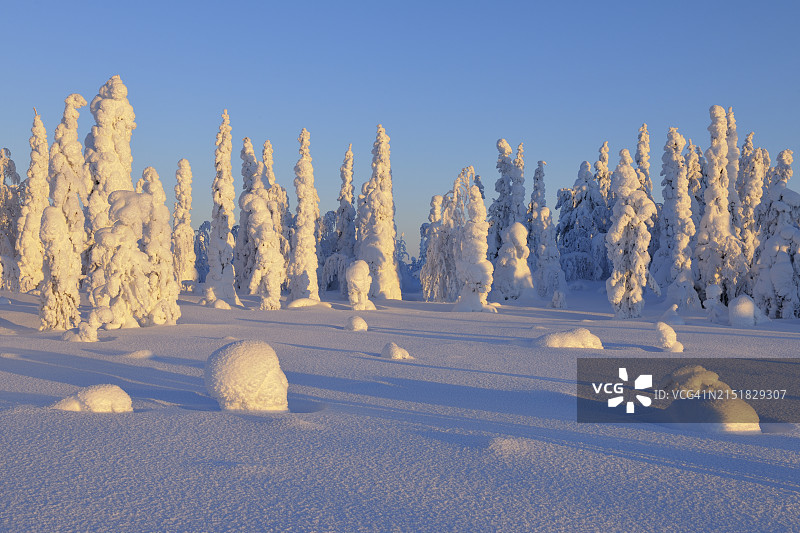 白雪覆盖的冬季景观，芬兰图片素材