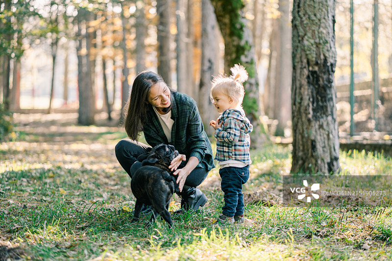 小女孩站在蹲着的母亲旁边抚摸小狗图片素材