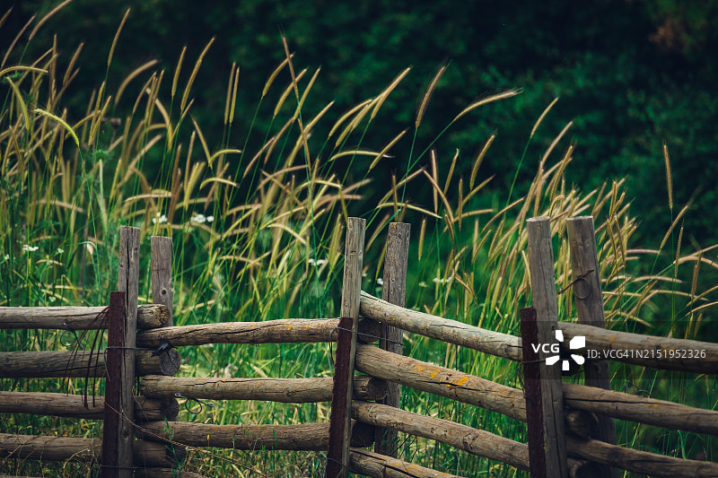 田野木栅栏图片素材