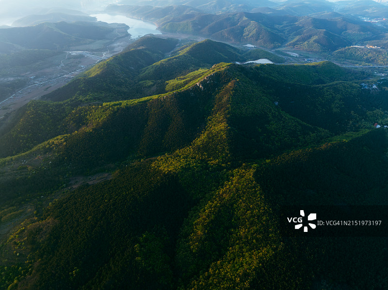 夏季森林图片素材