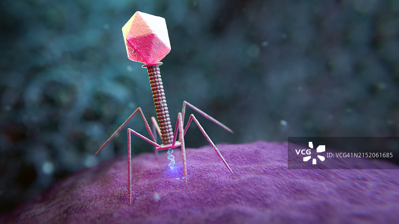 噬菌体疗法示意图图片素材