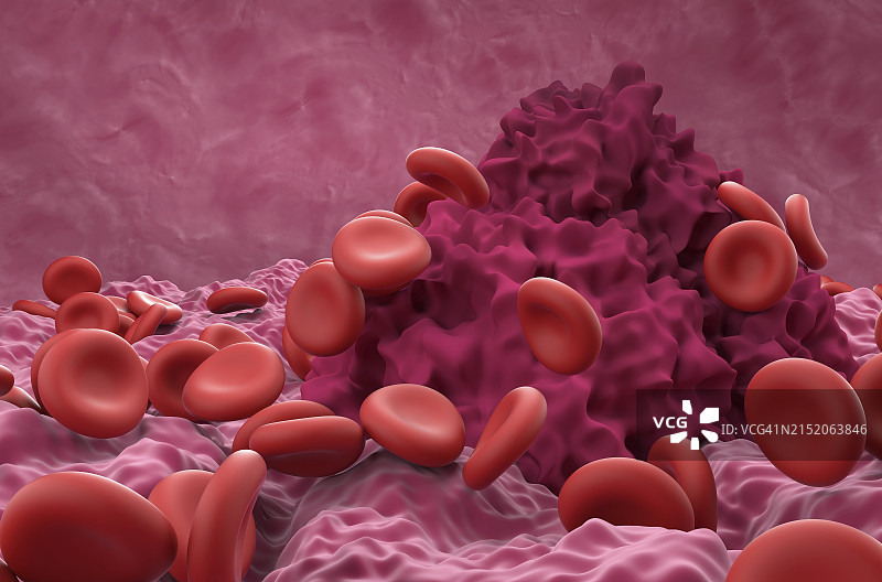 红细胞和纤维蛋白插图图片素材