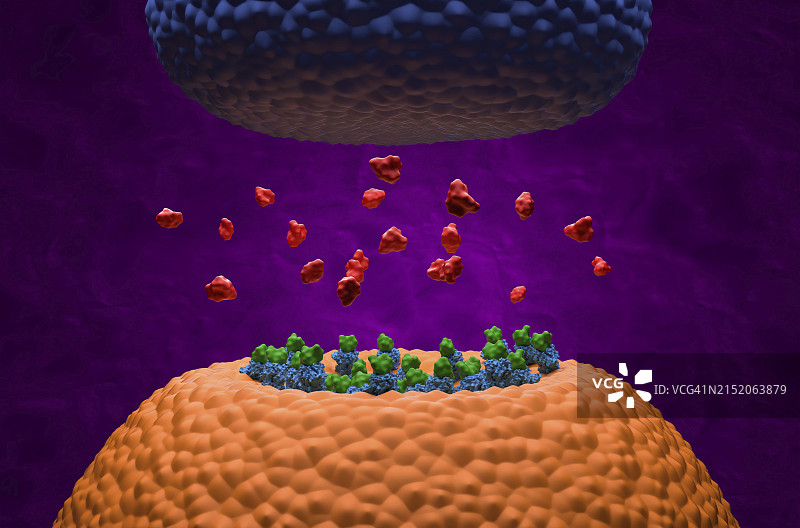 纳洛酮结合GABA受体的图示图片素材