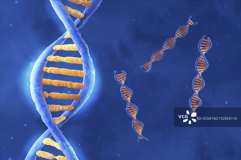 DNA分子插图图片素材