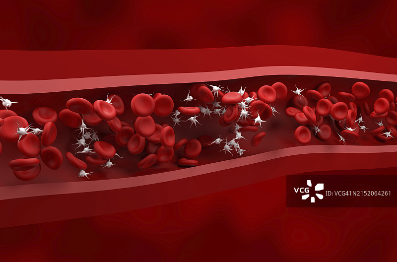 红细胞和血小板图示图片素材
