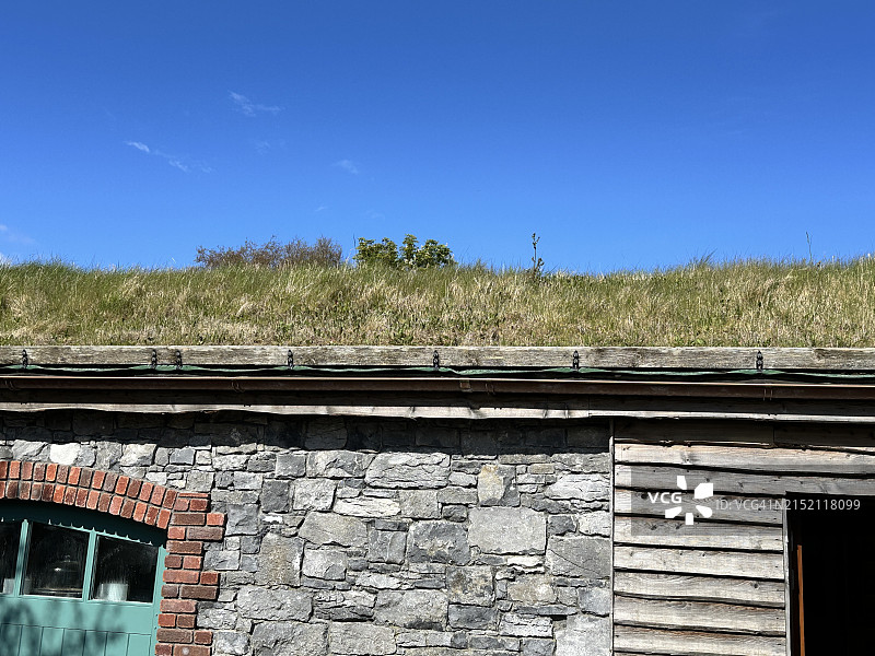 带有绿色植被的屋顶图片素材