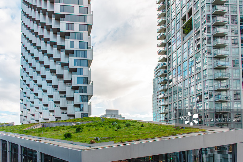 温哥华的绿色露台图片素材