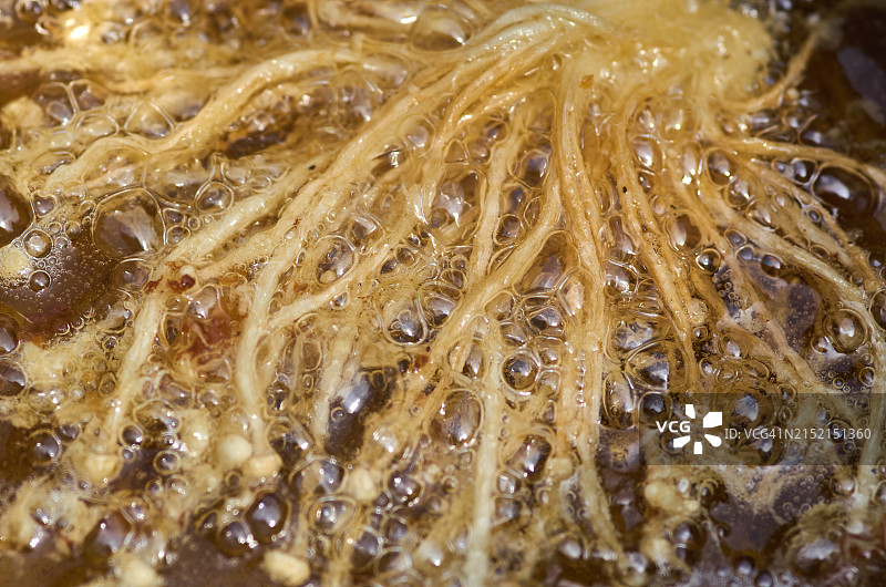 油炸金针菇特写图片素材