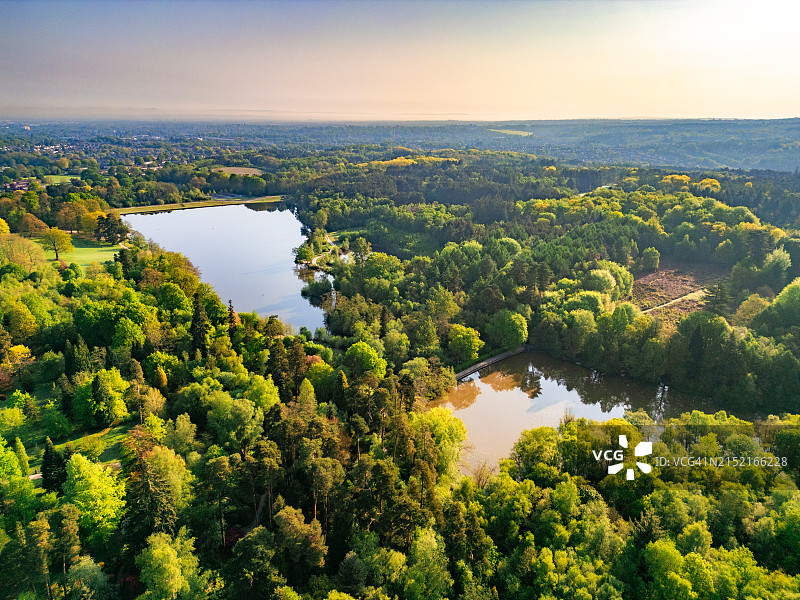英国克劳利，蒂尔盖特森林和湖泊的航拍图片素材