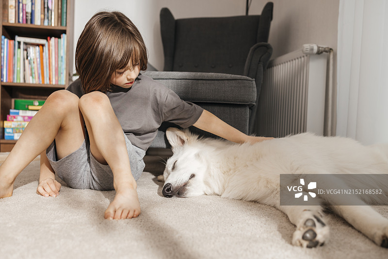 男孩在家里的客厅里抚摸睡着的狗图片素材
