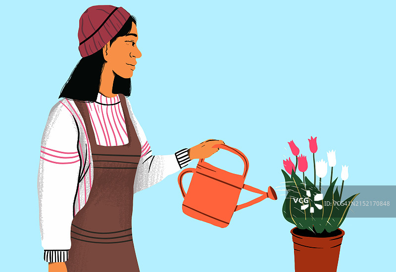 戴着无檐小便帽的女人在蓝色背景下给郁金香浇水图片素材