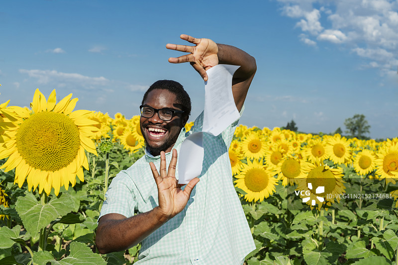 在向日葵田中撕毁合同的男子图片素材