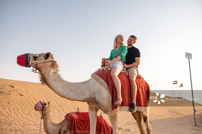 一对夫妇在迪拜沙漠骑骆驼图片素材