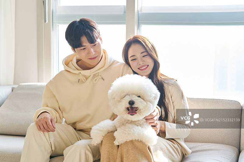 韩国情侣与比熊犬图片素材