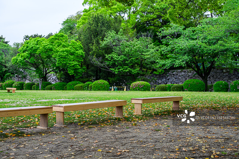 公园里的木制长椅图片素材