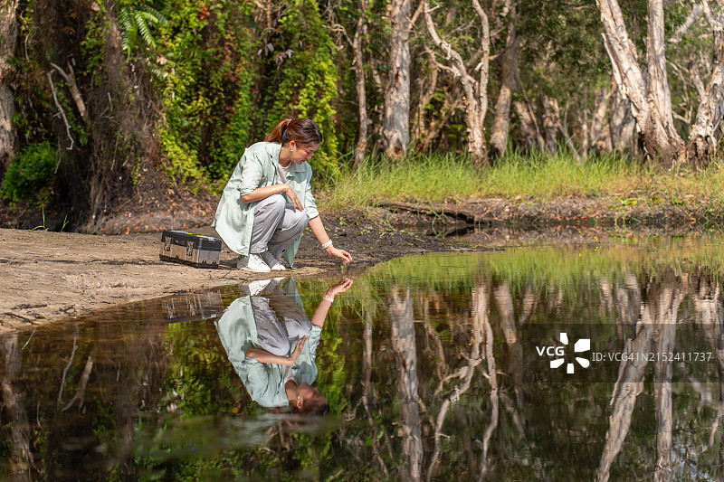 美丽的亚洲成年女性生物学和植物学学生正在探索和收集雨林沼泽中的植物和水，以研究生态系统和环境保护图片素材