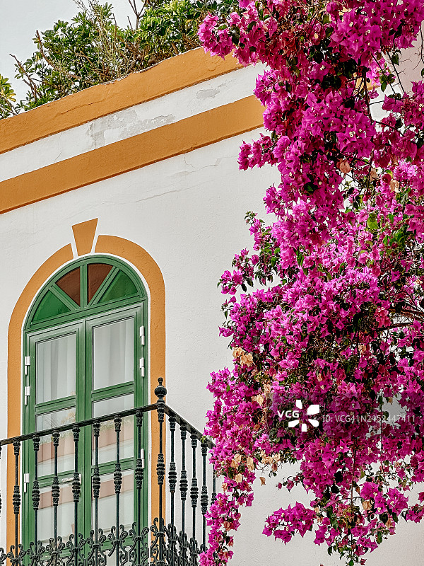 开满鲜花的漂亮外墙图片素材