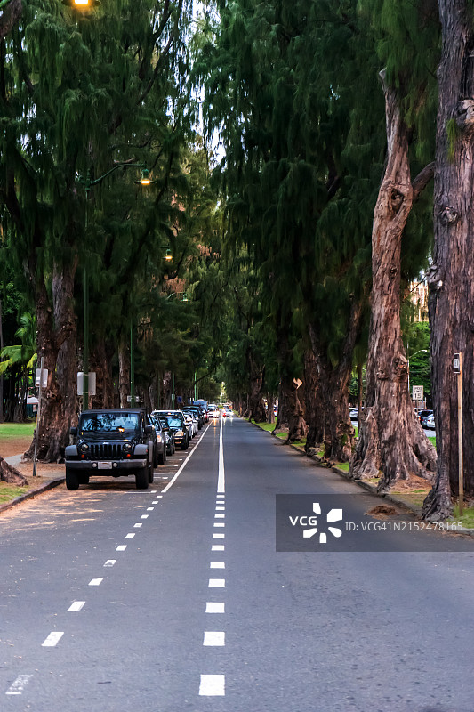 檀香山安静的街道图片素材