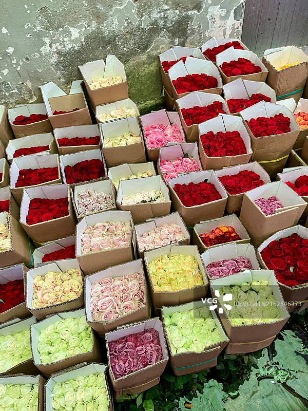越南鲜花市场的玫瑰图片素材