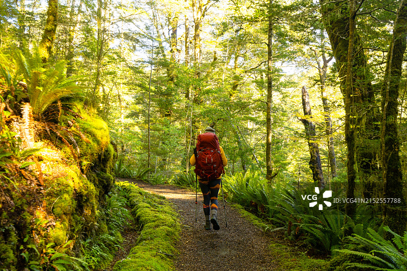 穿过森林徒步旅行的女人图片素材