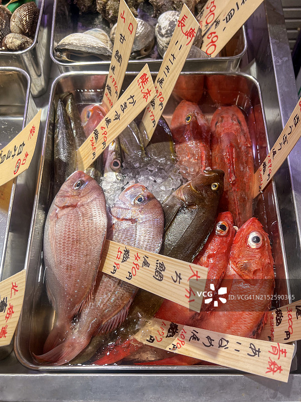 日本市场上的各地新鲜鱼类图片素材