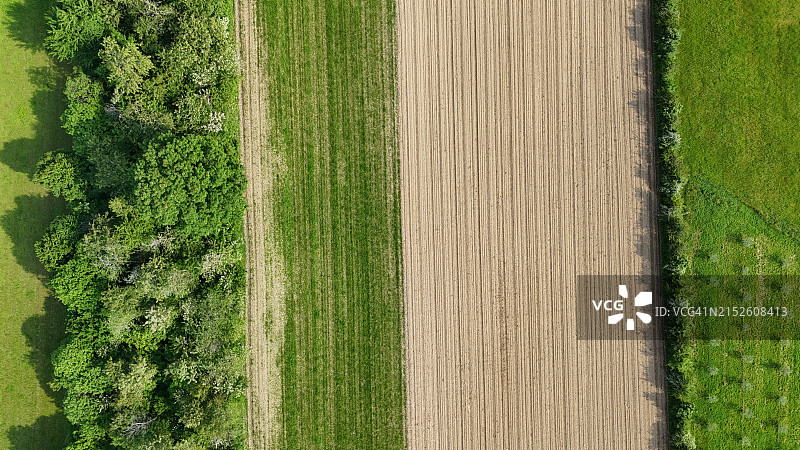 春季耕地景观图片素材