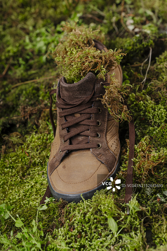 靴子里生长的新鲜草和苔藓环保概念图片素材