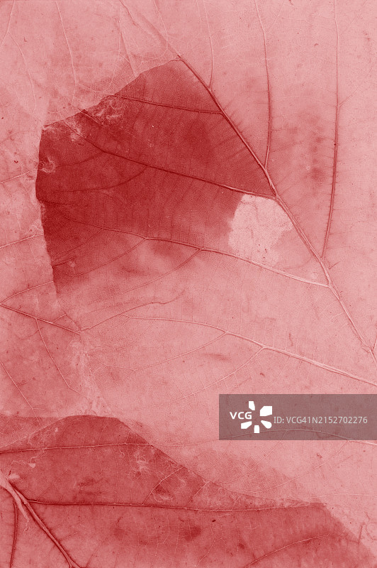 红色树叶和红色桑皮纸背景图片素材