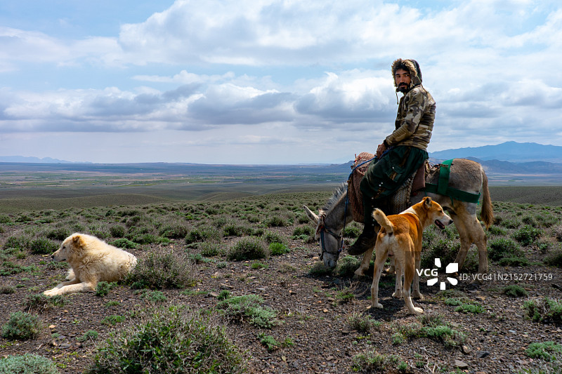 骑驴的牧羊人与牧羊犬图片素材