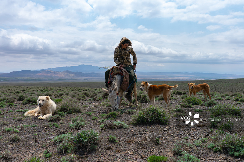 骑驴的牧羊人与牧羊犬图片素材